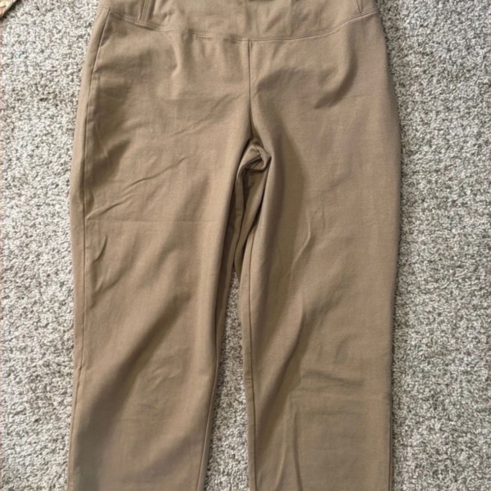 Women with Control Pull-On Leggings in Camel Brown